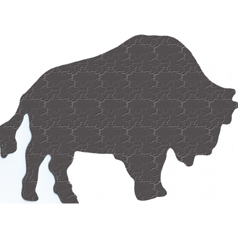 More about bison