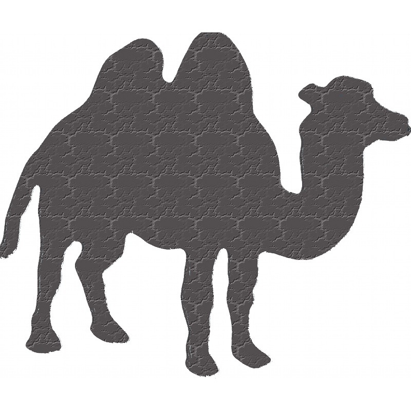 More about camel