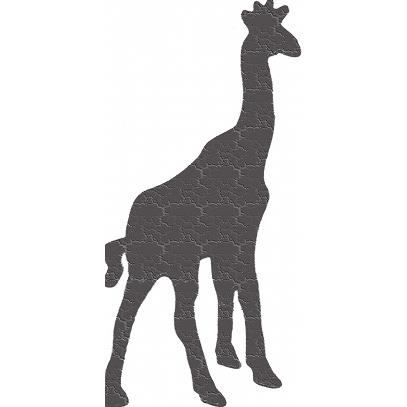 More about giraffe