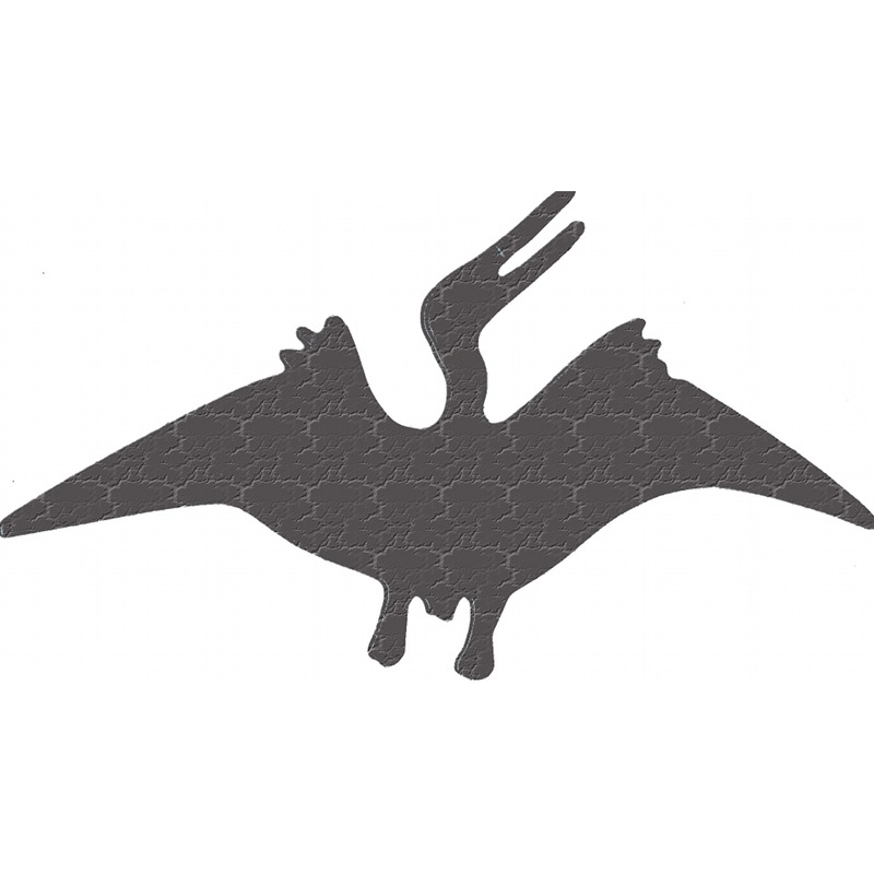 More about pterosaur