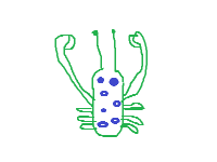 Blue-ringed Crabtopus image