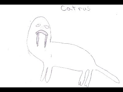 Catrus