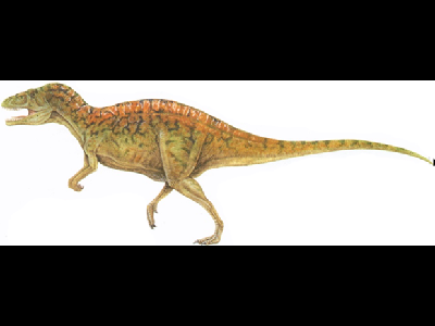 Dinosaur  -  Acrocanthosaurus