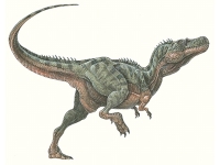 Alectrosaurus image