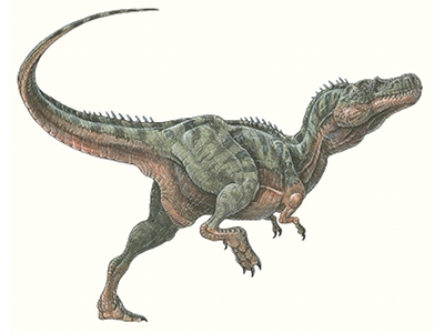 Dinosaur  -  Alectrosaurus