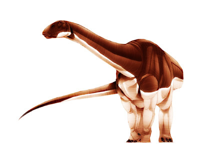Dinosaur  -  Algoasaurus