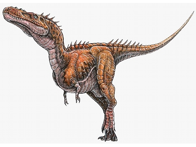 Dinosaur  -  Alioramus