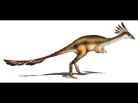 Alvarezsaurus image