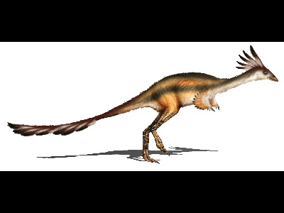 Dinosaur  -  Alvarezsaurus