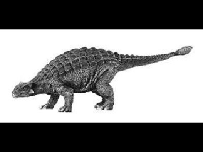 Dinosaur   -  Amtosaurus