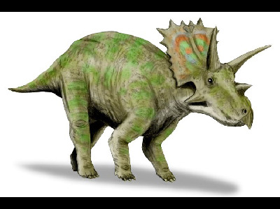Dinosaur  -  Anchiceratops