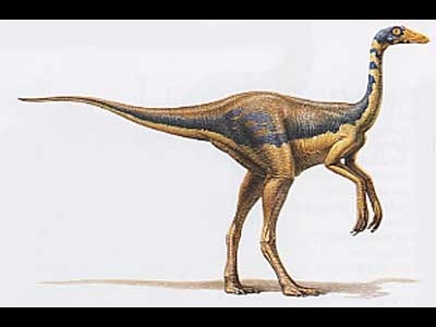 Dinosaur  -  Anserimimus