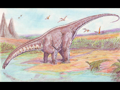 Dinosaur  -  Apatosaurus