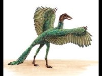 Archaeopteryx image
