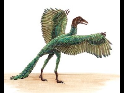 Dinosaur  -  Archaeopteryx