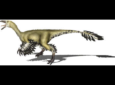 Dinosaur  -  Archaeornithoides