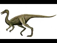 Archaeornithomimus image