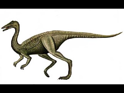 Dinosaur  -  Archaeornithomimus
