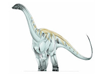 Argyrosaurus image