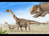 Camarasaurus image