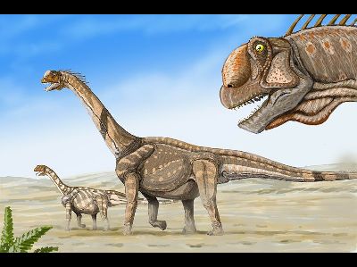 Dinosaur  -  Camarasaurus