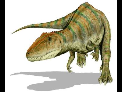 Dinosaur  -  Carcharodontosaurus