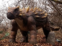 Dyoplosaurus image