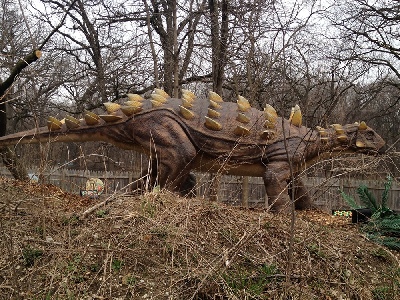 Dinosaur  -  Dyoplosaurus