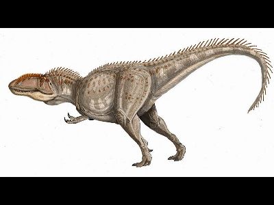 Dinosaur  -  Giganotosaurus
