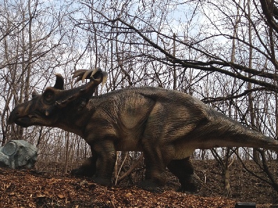 Dinosaur  -  Kosmoceratops