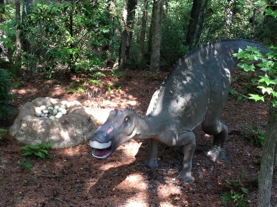 Dinosaur  -  Maiasaura