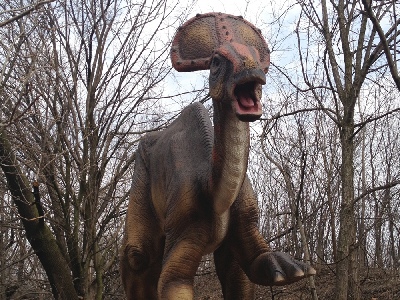 Dinosaur  -  Olorotitan