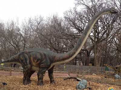 Dinosaur  -  Omeisaurus