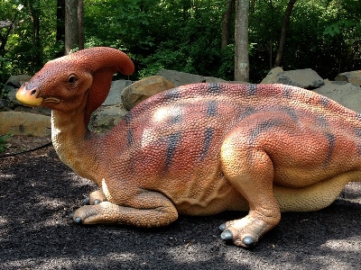 Dinosaur  -  Parasaurolophus