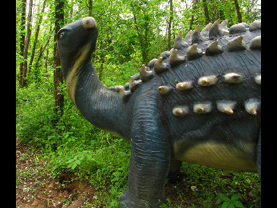 Dinosaur  -  Scelidosaurus
