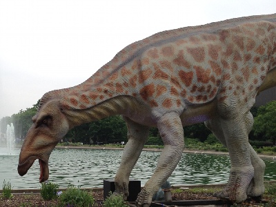 Dinosaur  -  Shantungosaurus