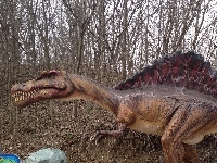 Spinosaurus image