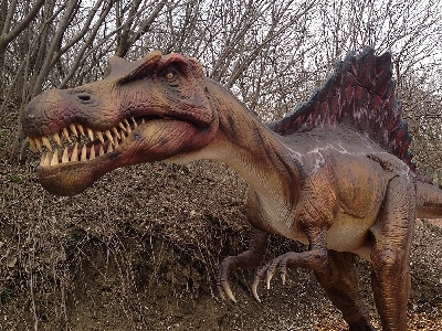 Dinosaur  -  Spinosaurus
