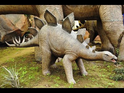 Dinosaur  -  Stegosaurus