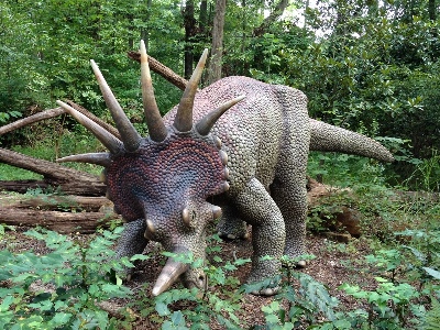 Dinosaur  -  Styracosaurus