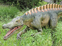 Suchomimus image