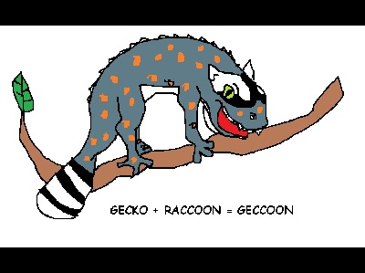 Geccoon