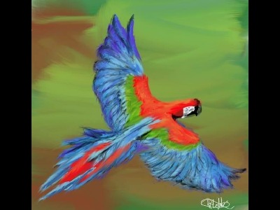 macaw/macaw_Red-and-green_Macaw
