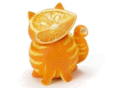 Orange Cat  