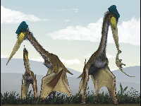 Quetzalcoatlus image