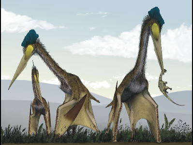 Pterosaur  -  Quetzalcoatlus
