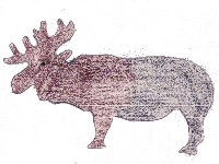 Rhinoose image