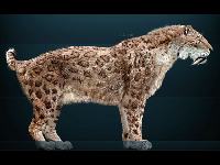 Saber-toothed Cat image