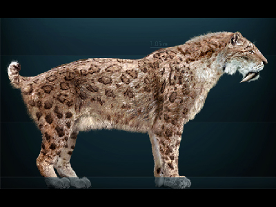 Saber-toothed Cat  