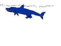 Sharkodile image